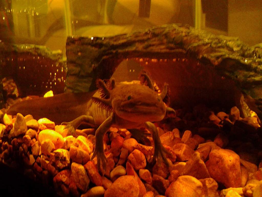 IMG 20120910 002417