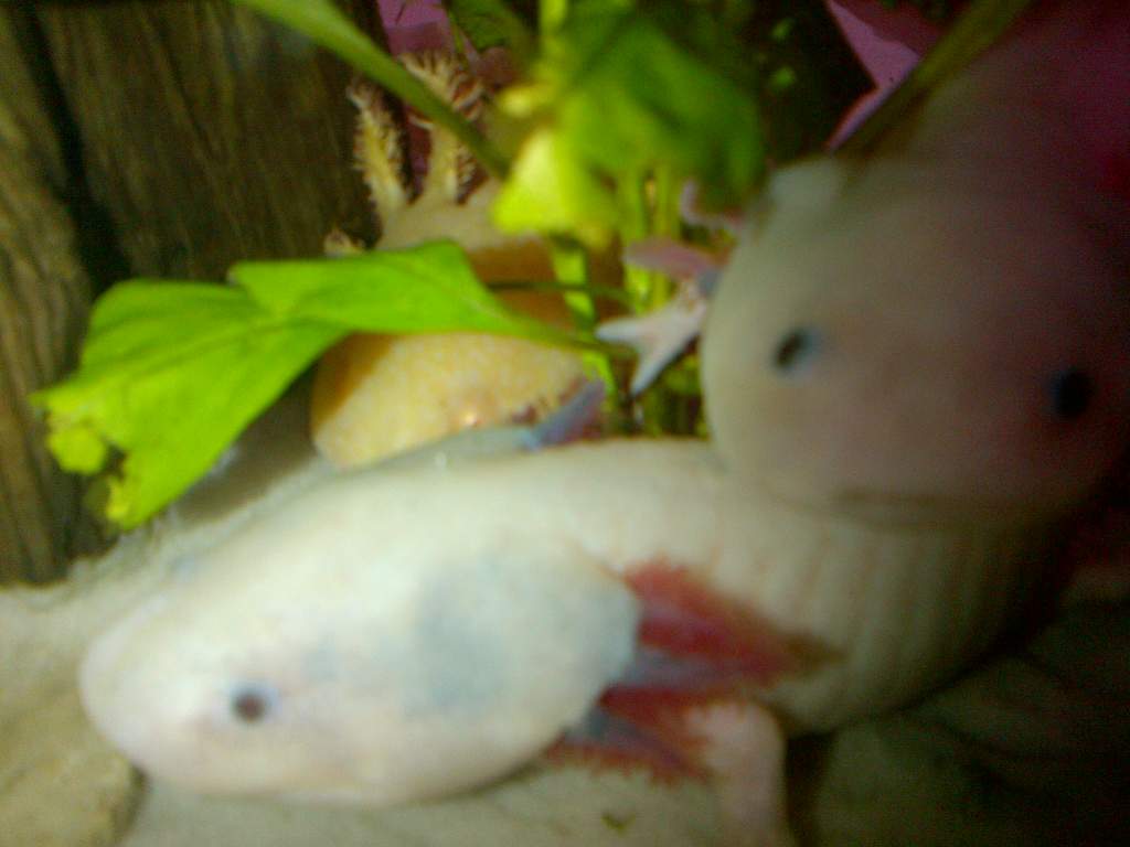 IMG 20121113 00786