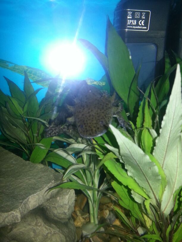 IMG 20121125 WA000