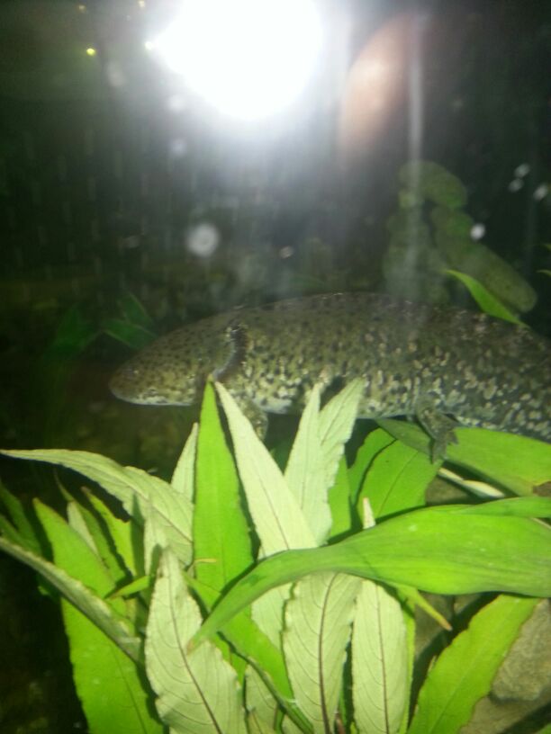 IMG 20121125 WA001