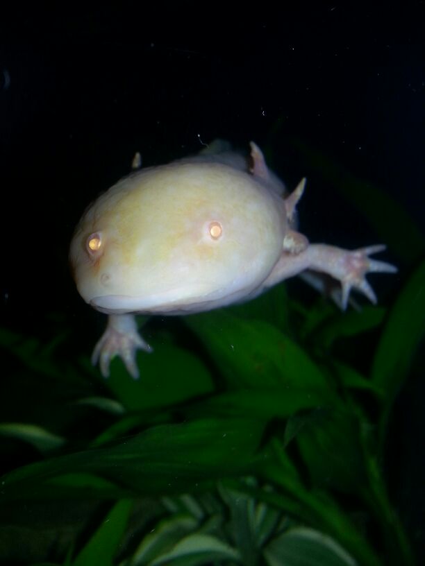 IMG 20121130 WA004