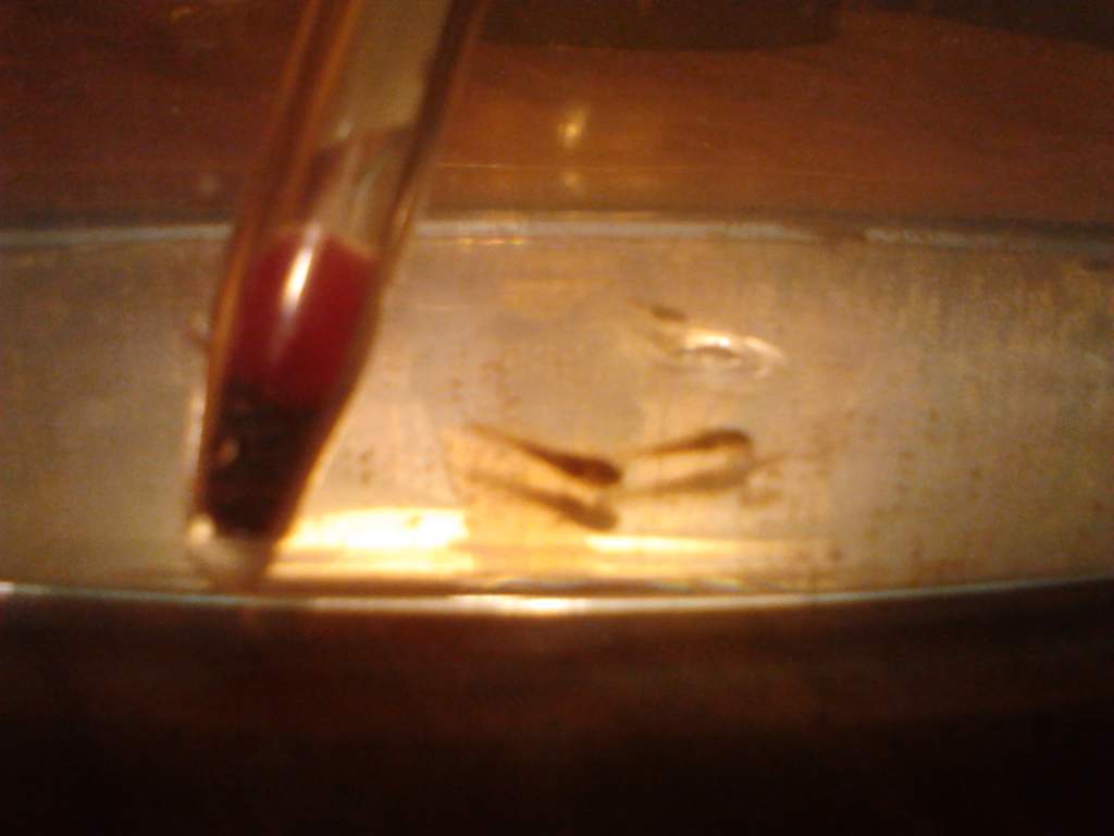IMG 20121218 225214