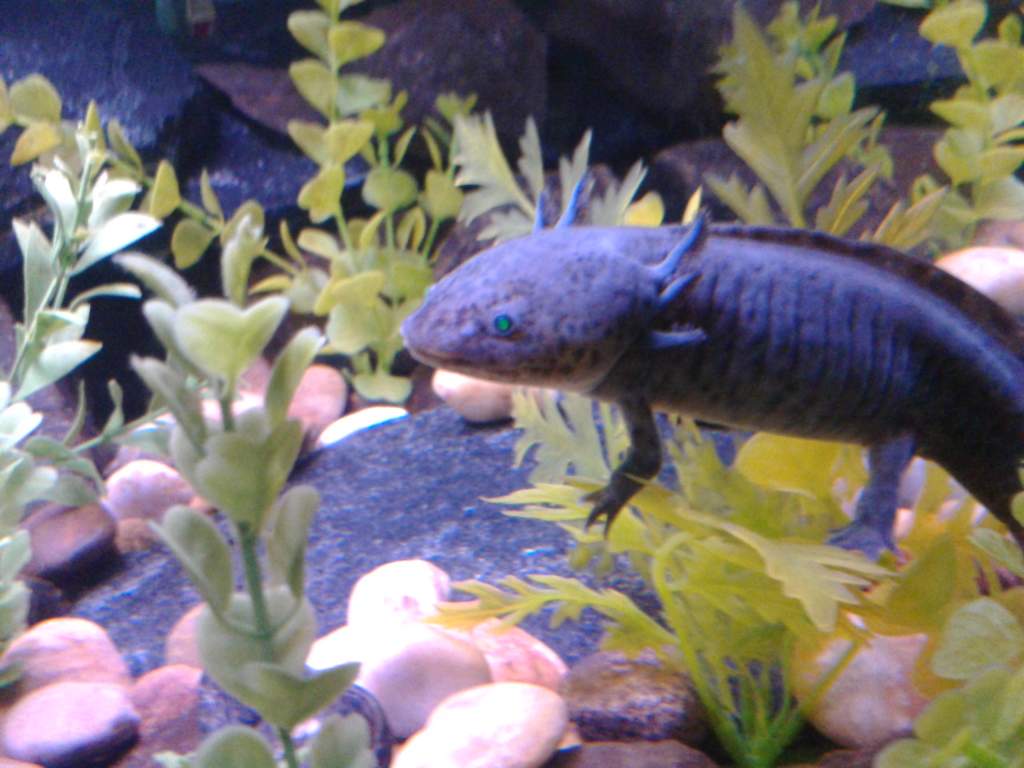IMG 20130909 134806