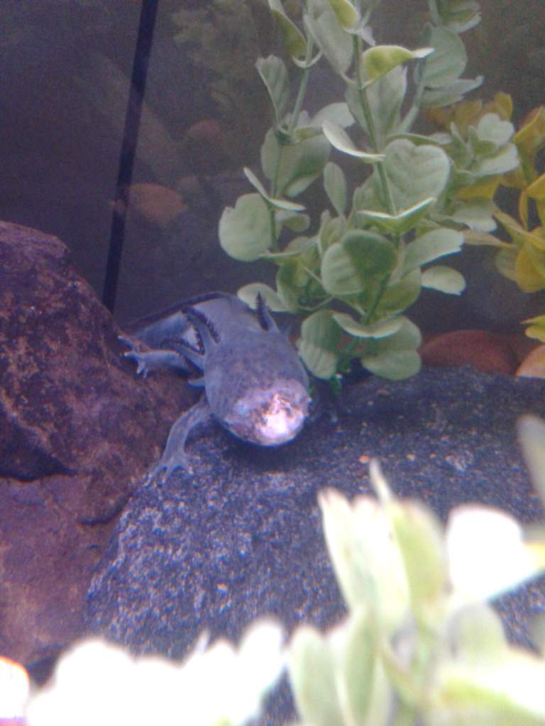 IMG 20130919 084518