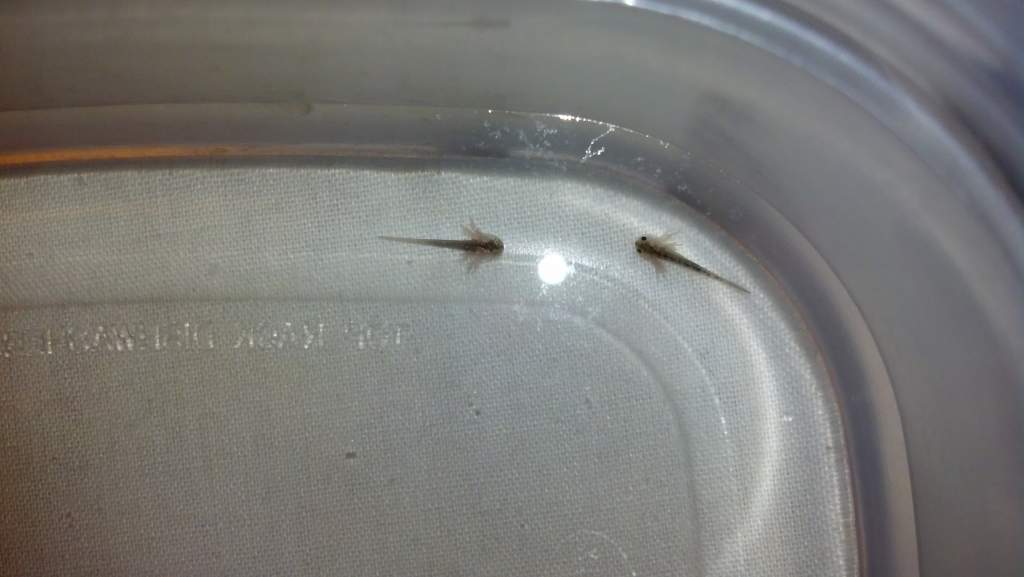 IMG 20140315 174517 815