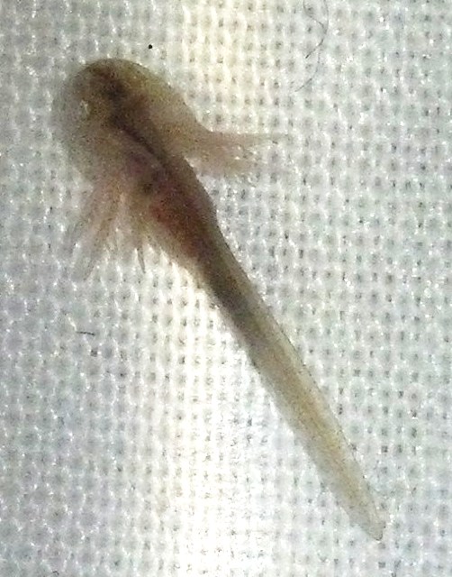 IMG 20140318 180402 127 (2)