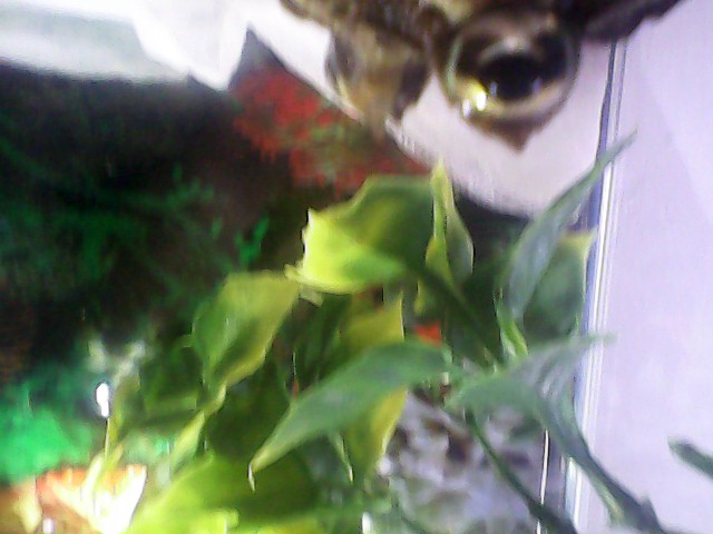 IMG 20140610 143352