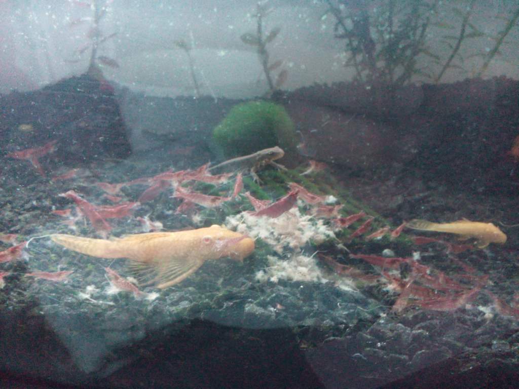 IMG 20140617 183534