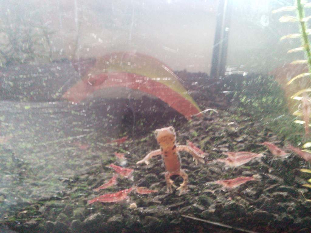 IMG 20140618 185644