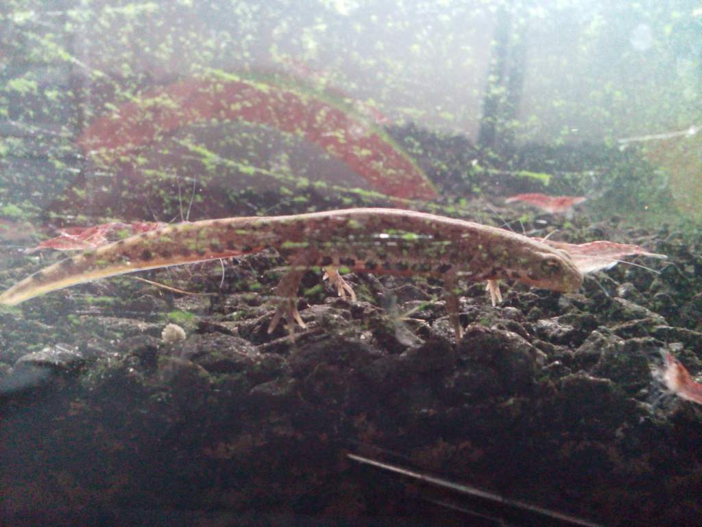 IMG 20140618 185714
