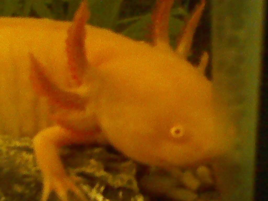 IMG 20160114 080612