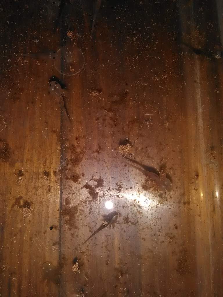 IMG 20160519 144142