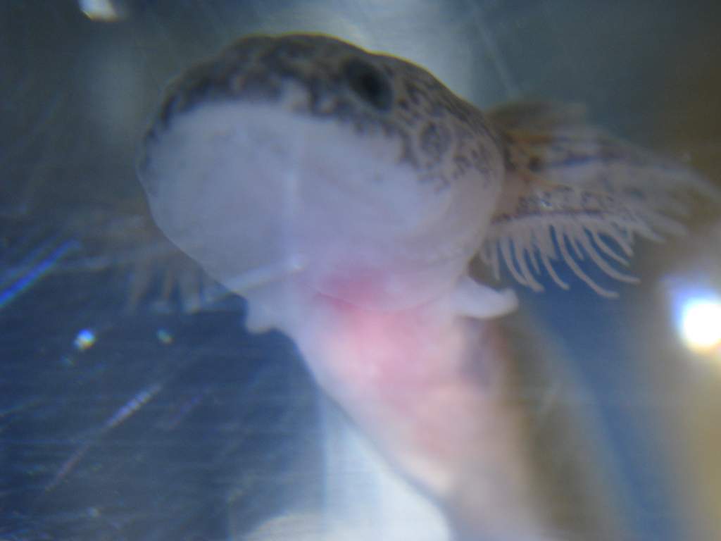 IMG 3787