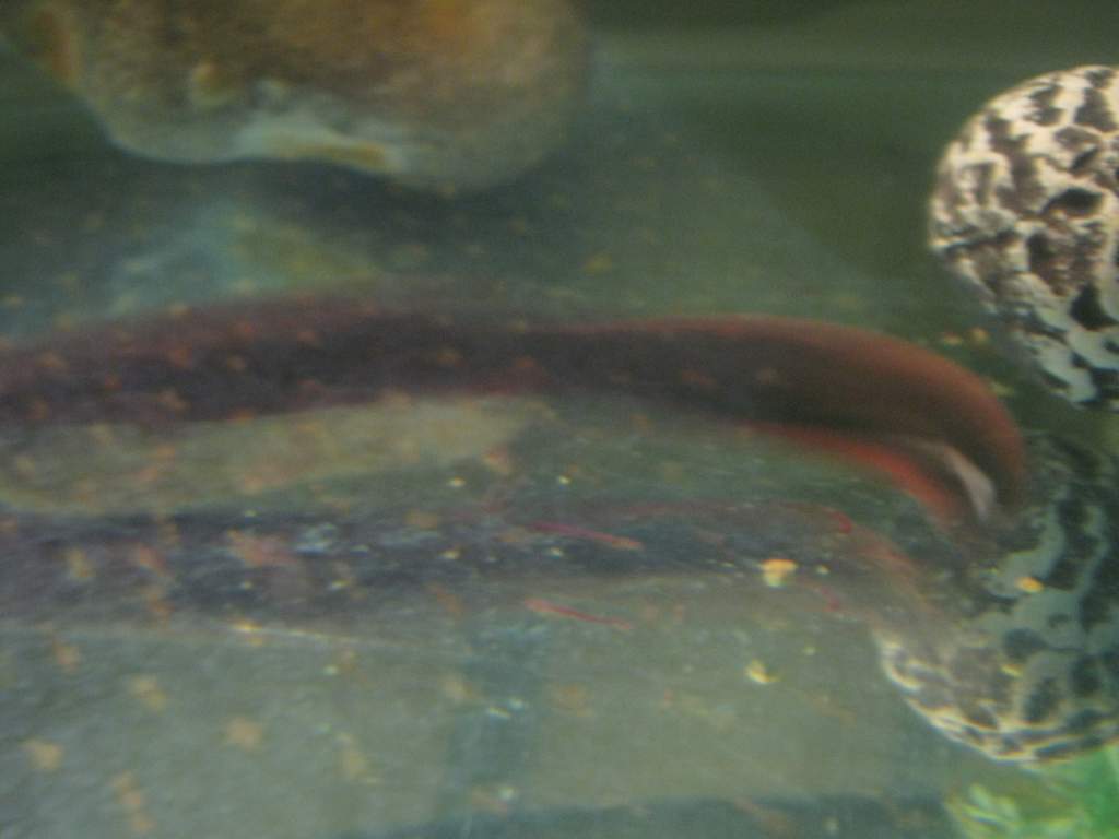 IMG 4943