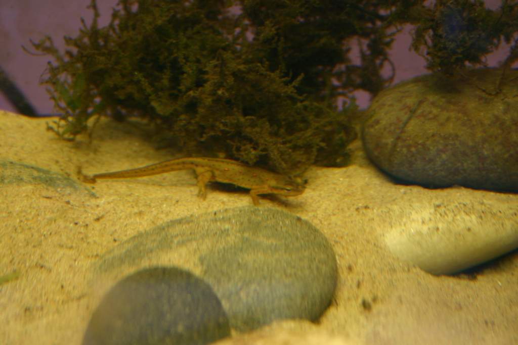 IMG 5602