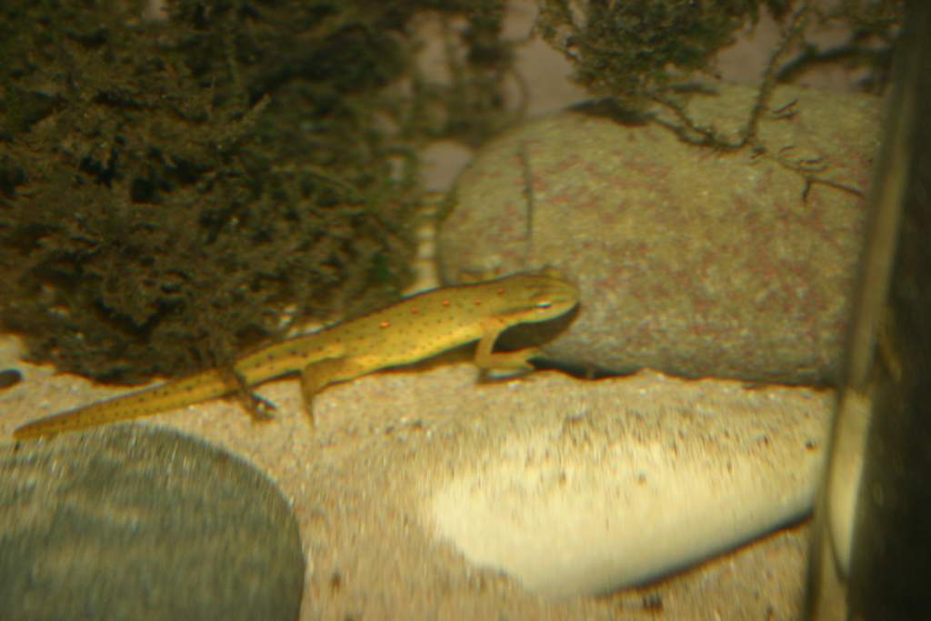 IMG 5603