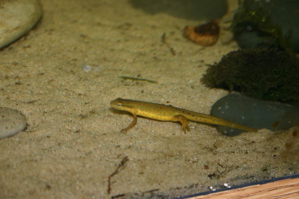 IMG 5638