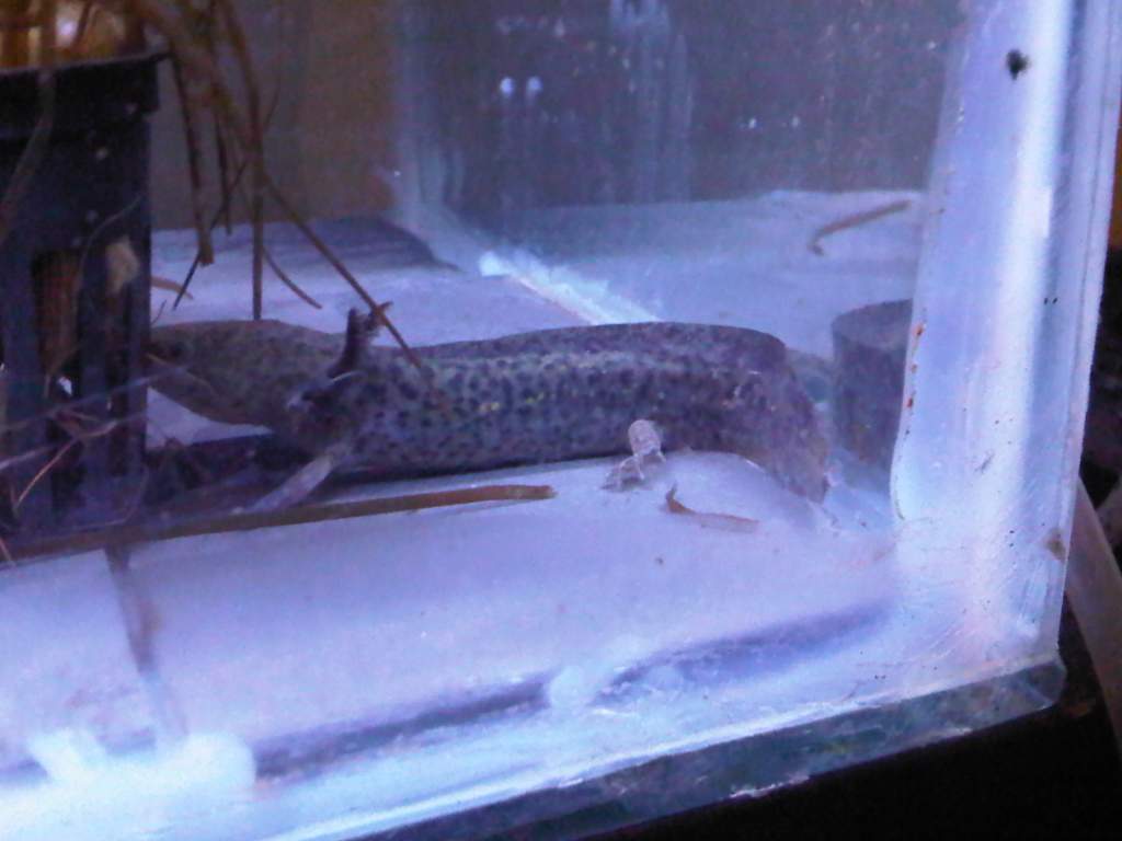 IMG00114 20100128 2039