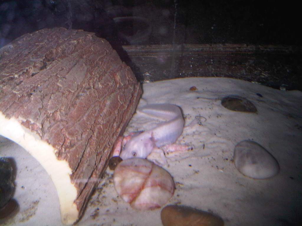 IMG00484 20110525 1905