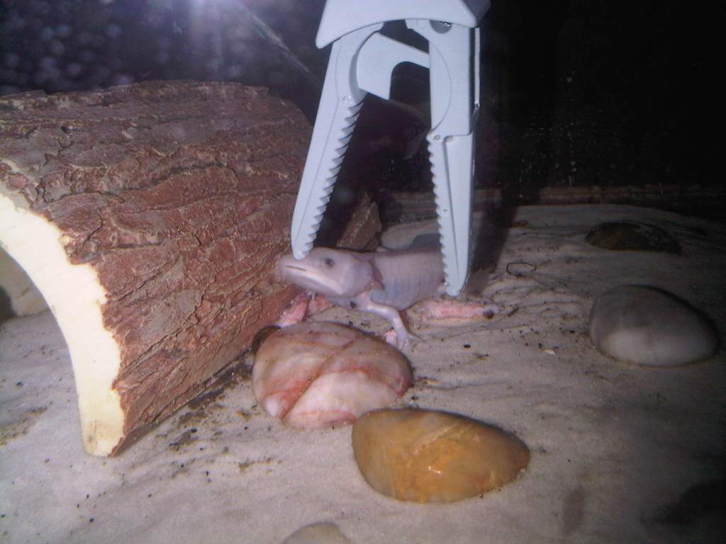 IMG00485 20110525 1905