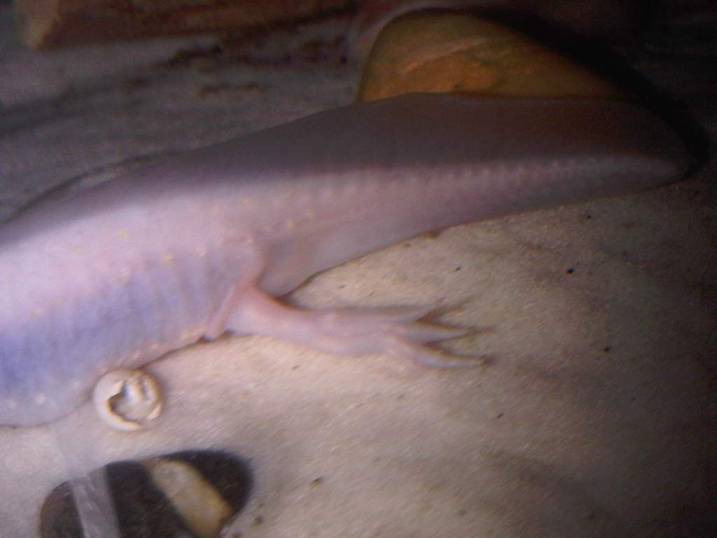 IMG00491 20110525 1907