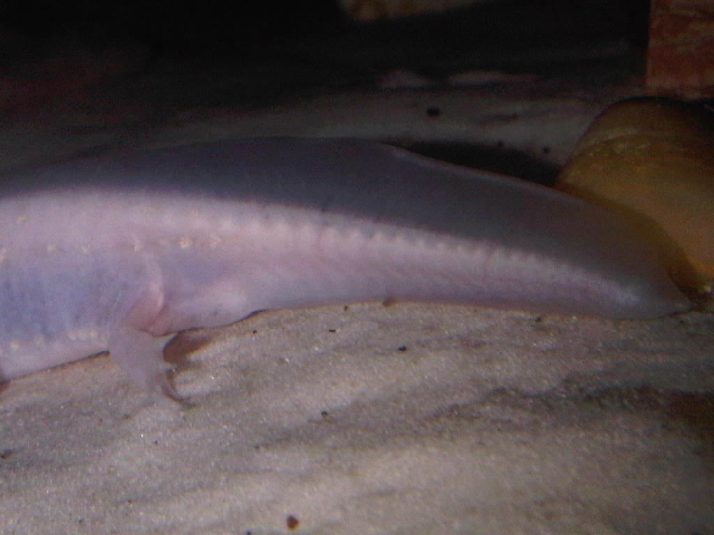 IMG00492 20110525 1908