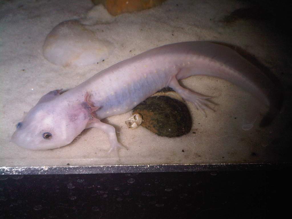 IMG00502 20110525 1911