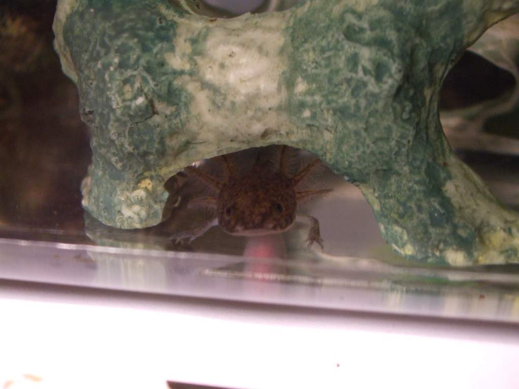 IN his holey cave. Finally!!