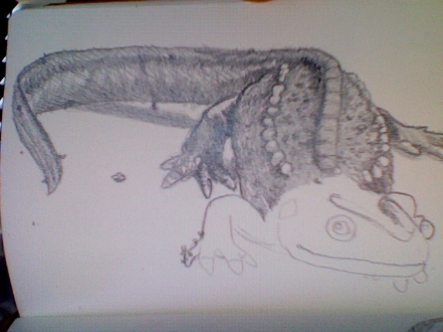 In progress..