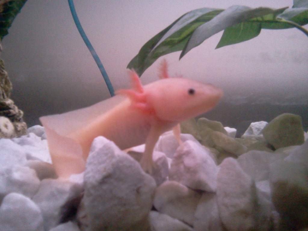Is this my good side?
