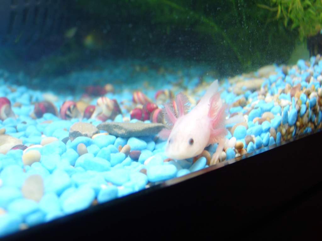Isnt he tenny tiny?! :)