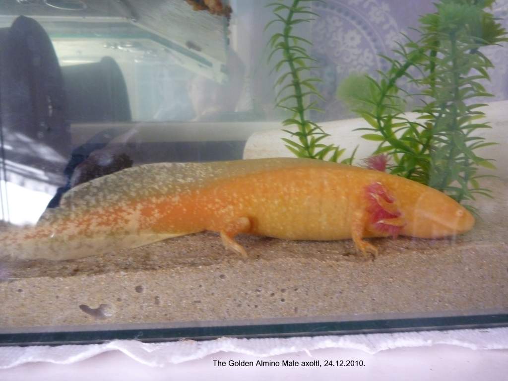 It appears now that this Male is a female!!.