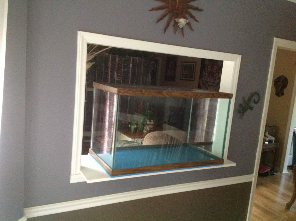 It fits!
Now all we need is water, filter, chiller, decorations, axolotls...