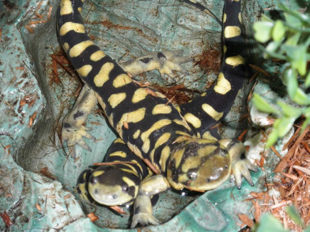 It's good to be friends!