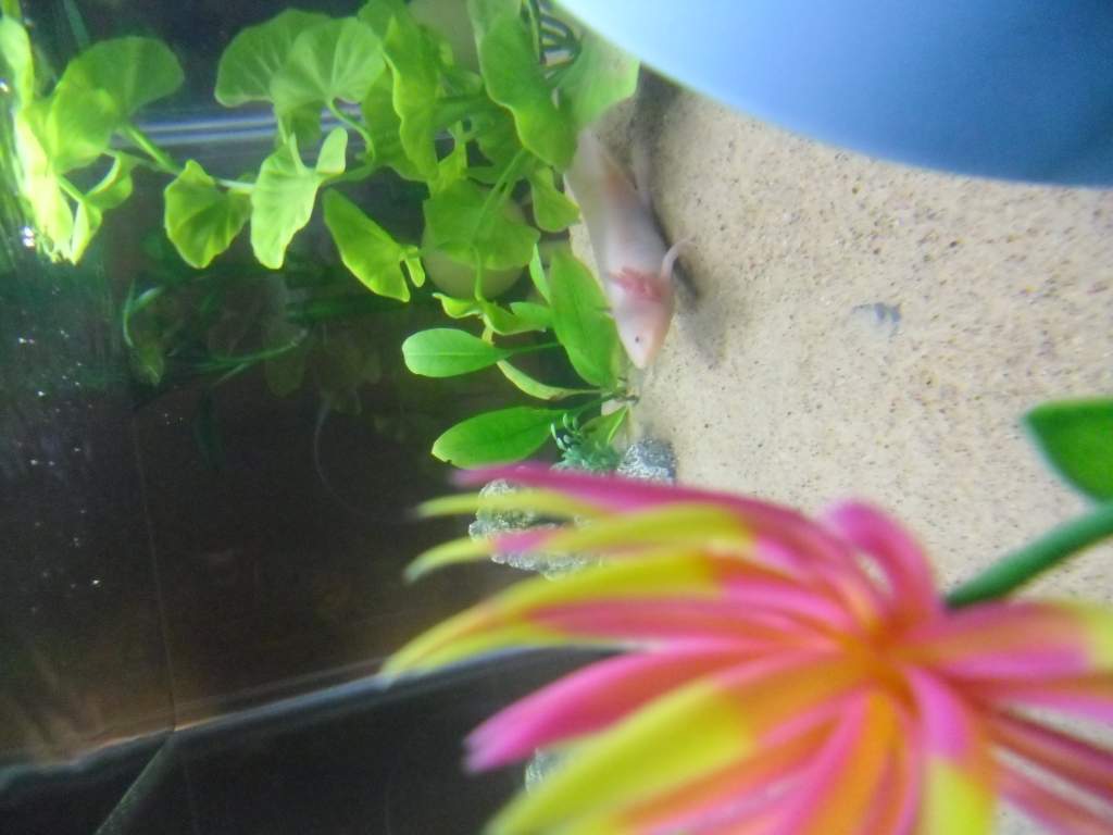 jeez save some light for your plants! :3