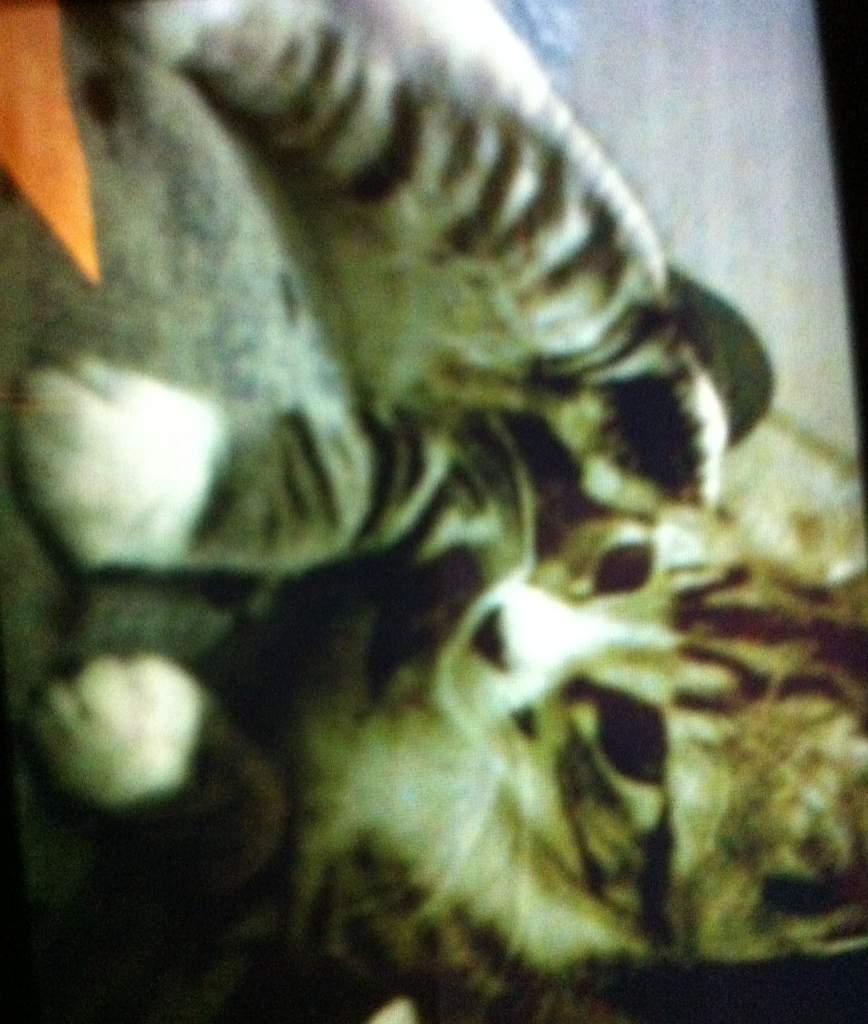 Jerry