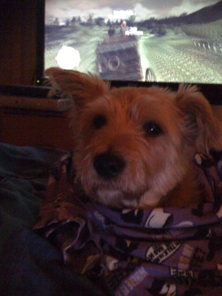 Jezy looking tired, as always...