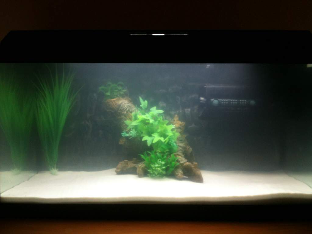 Just added the sand