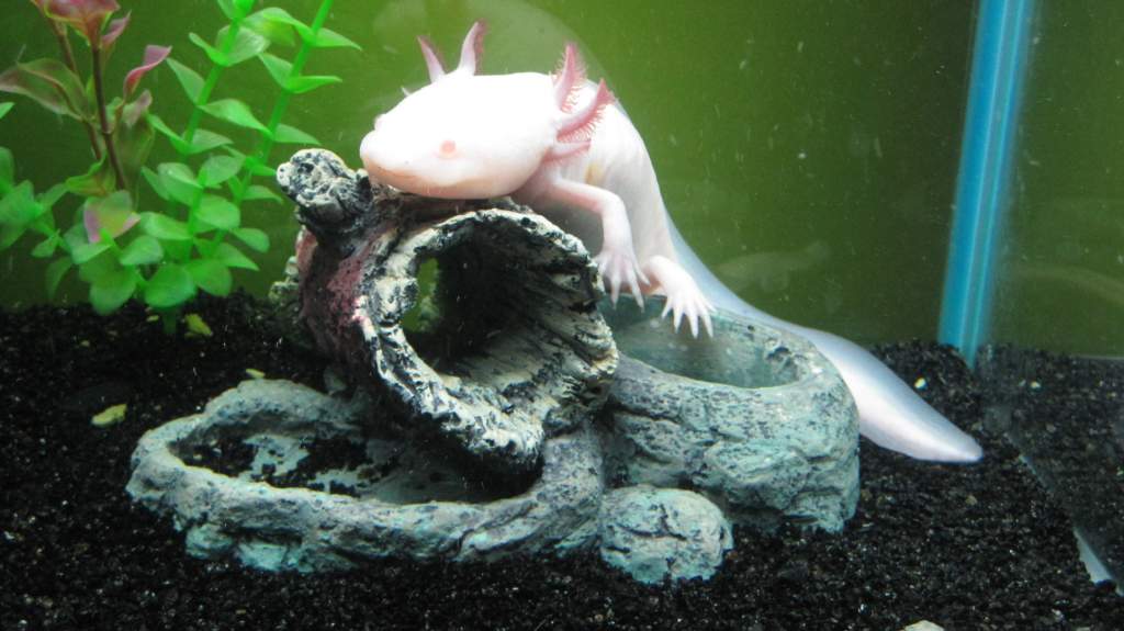 Just chillin... such a cool guy.