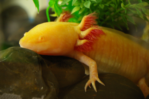 Just chillin'