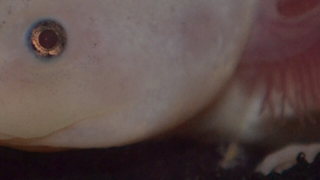 Just look at that little smile..