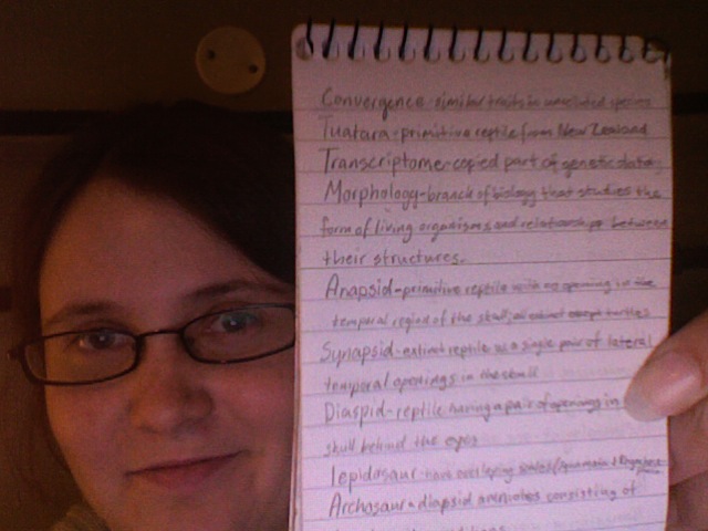 Just one random, me having discovered just how small my normal handwriting is (1x1 mm) XD 
that's a 7.5x10.5 cm notebook by the way :P