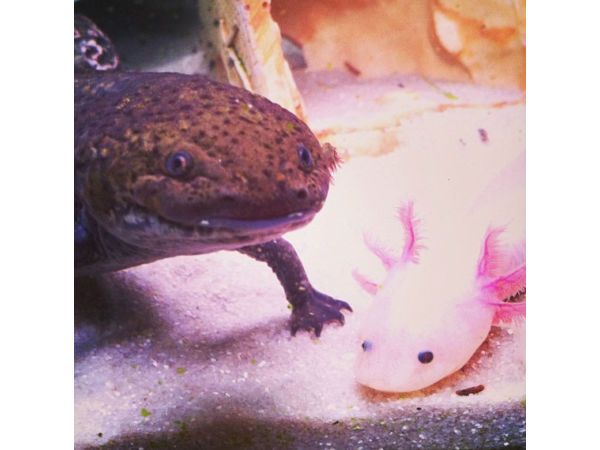 Just smile & wave boys. Smile & wave.