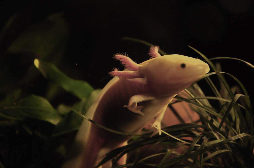 Just Sneaking Around