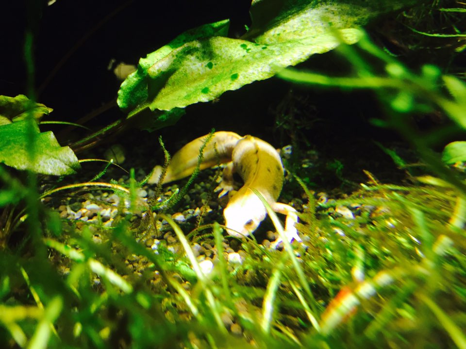 KakaoTalk 20151013 001220902