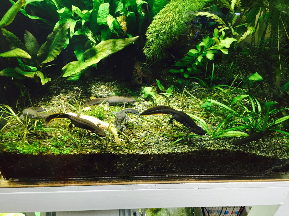 KakaoTalk 20151019 234032279