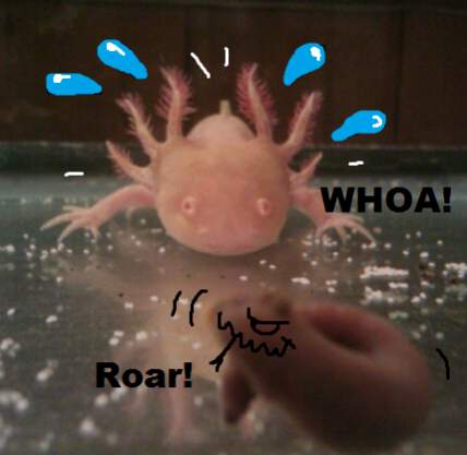 Killer worm
Picture is not mine, just edited it.