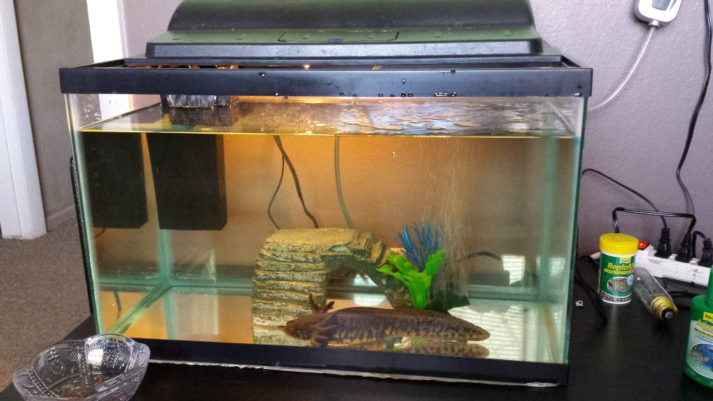 Kumi (2 26 2014) Day 9 (2)