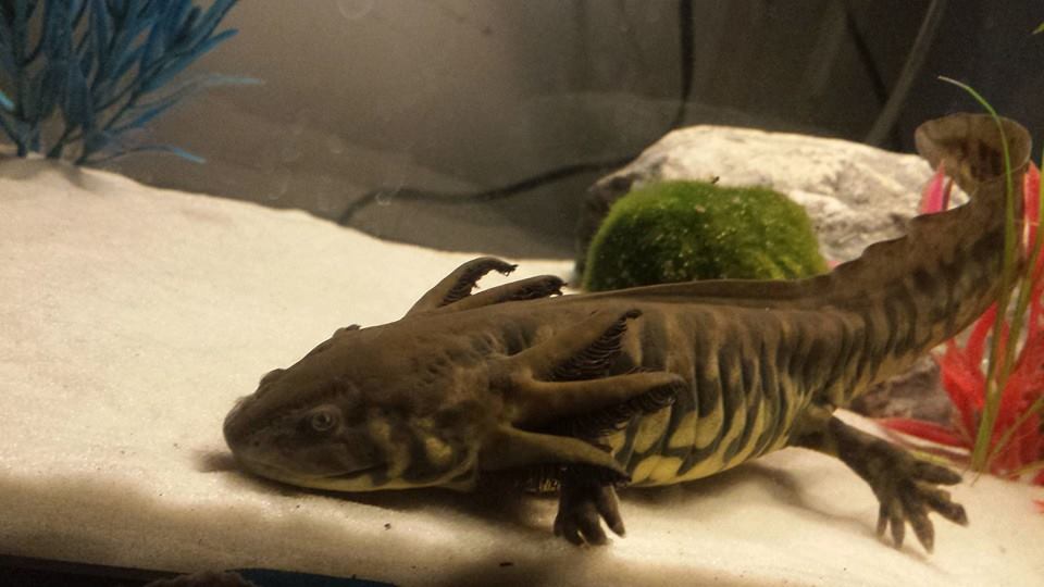 Kumi 2 (3 14 2014) Day 26