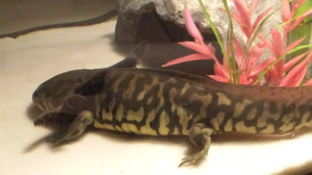 Kumi 3 (3 15 2014) Day 27